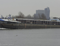 Madizso op de IJssel bij Zwolle.  