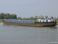 Scorpio opvarend op de IJssel bij Bronckhorst.