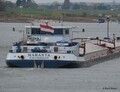 Maranta te daal op de Rijn bij Emmerik.