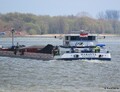 Maranta opvarend op de Rijn bij Emmerik.