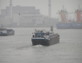 Tripang Maahaven Rotterdam.