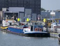 Tripang Maashaven Rotterdam.