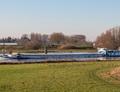 Fame op de IJssel in Zutphen.