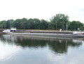 Vivarium-L Scharnebeck Elbe-Seiten-Kanal.