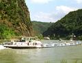 Discovery Loreley.