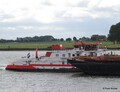 Veerhaven XI - IJsbeer bij Emmerik.