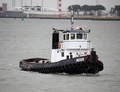 Roos Hoek van Holland.