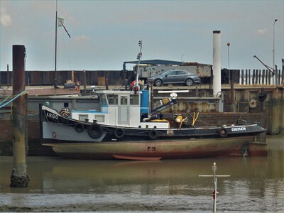 Argo in de haven van Walsoorden.