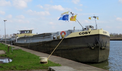 Coby stil liggend in Vreeswijk/ Lekkanaal ©Jan van ’t Verlaat