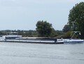 Maya op de Maas bij Empel.