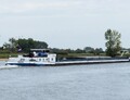 Maya op de Maas bij Empel.
