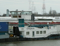 Cygnus Antwerpen.