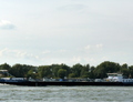 Hornhafen Oosterhout.
