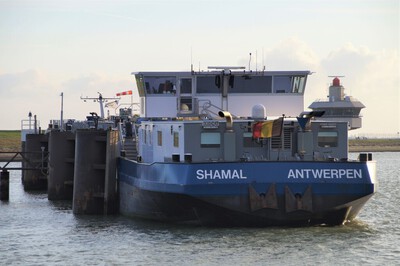 Shamal Zuidervoorhaven Hansweert.