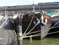 Zwerver Maashaven Rotterdam.