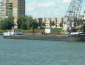 Thuredregt Rotterdam.