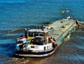 Willem S bij Bath