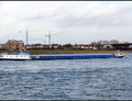 Main Nijmegen.