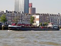 Argas op de Nieuwe Maas in Rotterdam.