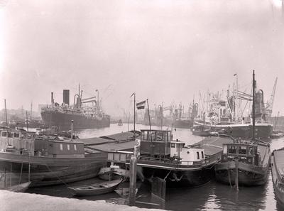 Zwerver Maashaven Rotterdam.