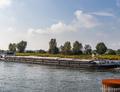 Replay op de IJssel in Zutphen.