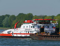 Veerhaven IV- Neushoorn op de Oude Maas.