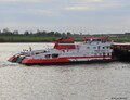 Veerhaven IV - Neushoorn te daal op de Rijn bij Emmerik.