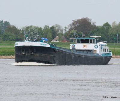 Chamari op de IJssel bij Bronckhorst.