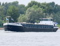 Transitorio opvarend op de Rijn bij Rees.