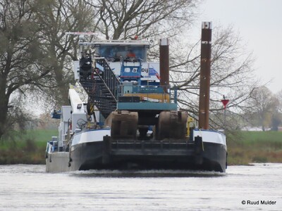 Iris afvarend op de IJssel bij Bronckhorst.