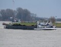 Bona Dea opvarend op de Rijn bij Emmerik.