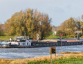 Tycho op de IJssel in Zutphen.