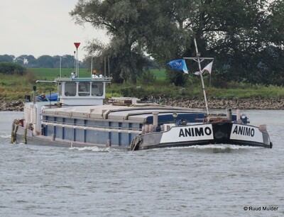 Animo afvarend op de IJssel bij Bronckhorst.