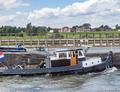 Orka op de IJssel in Zutphen.