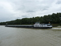 Dorothea op het Maas-Waalkanaal.