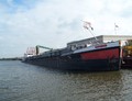 De Pugna Vitae Afrikahaven Amsterdam.
