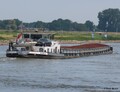 Minica afvarend op de IJssel bij Bronckhorst.