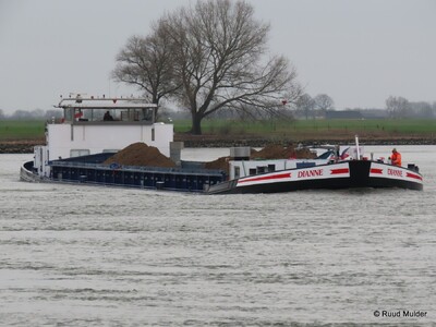 Dianne te daal op de IJssel bij Bronckhorst.
