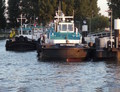 DWS 10 Watergeus Rotterdam.