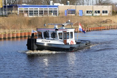 Zeemeeuw op het Maximakanaal bij Den-Bosch.