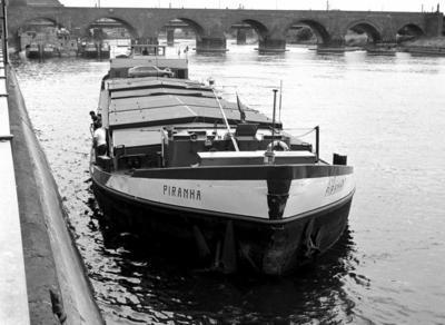 Piranha Koblenz.