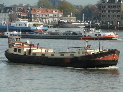 De Drakar Dordrecht.
