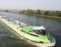 Green Rhine Sint Philipsland.