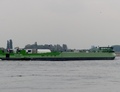 Green Rhine op de Waal bij Haaften.