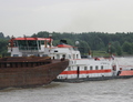 De Veerhaven III - Waterbuffel.