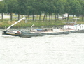 Octopoda Amsterdam-Rijnkanaal.