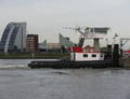 Walvis Rotterdam-IJsselmonde.