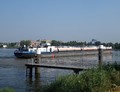 Norte Dordrecht.