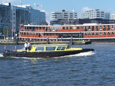 WN 10 - Waterspreeuw binnen IJ Amsterdam.