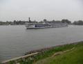 De River Splendor Kinderdijk.